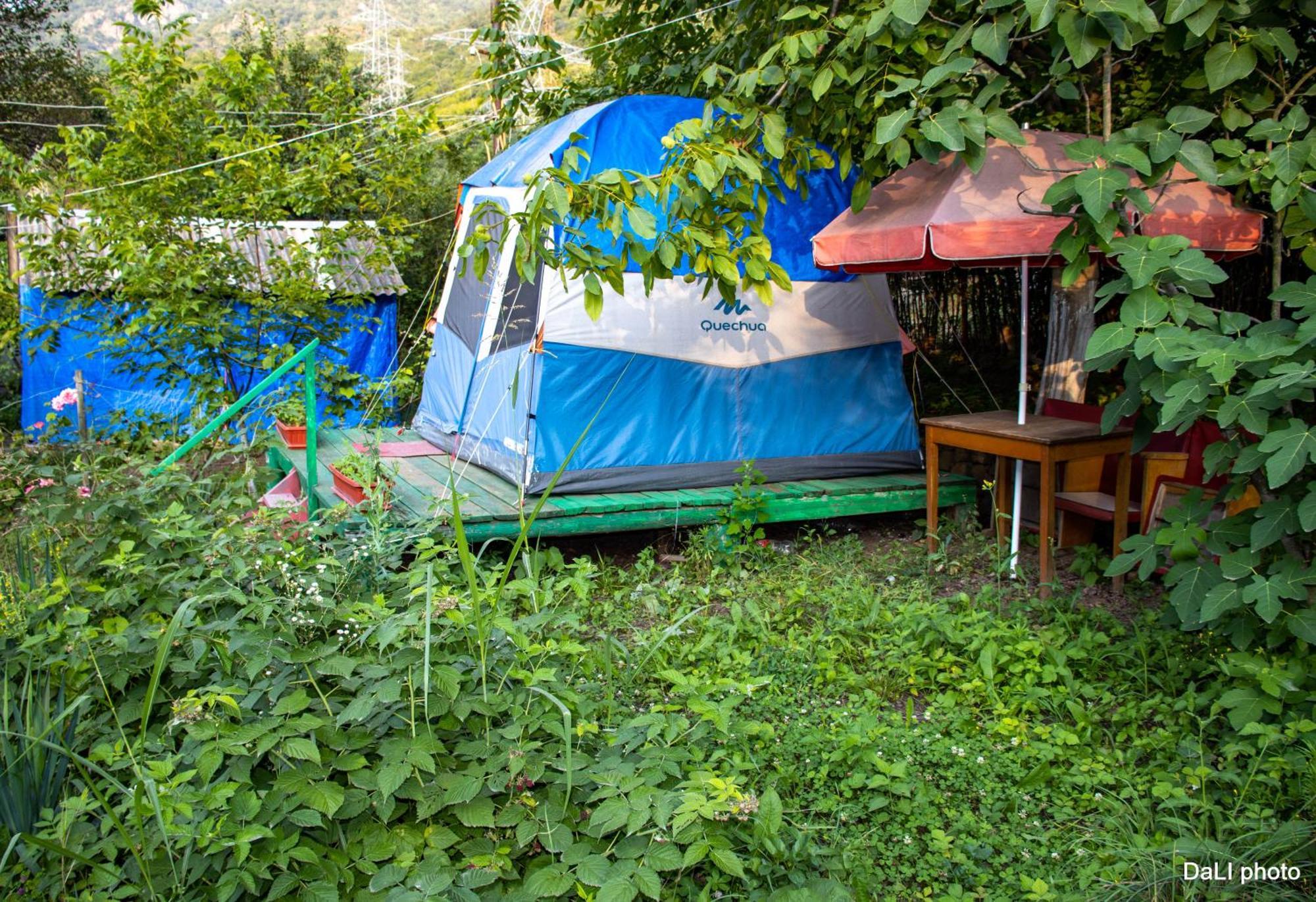 Tereza Glamping Hotel Sanain ภายนอก รูปภาพ