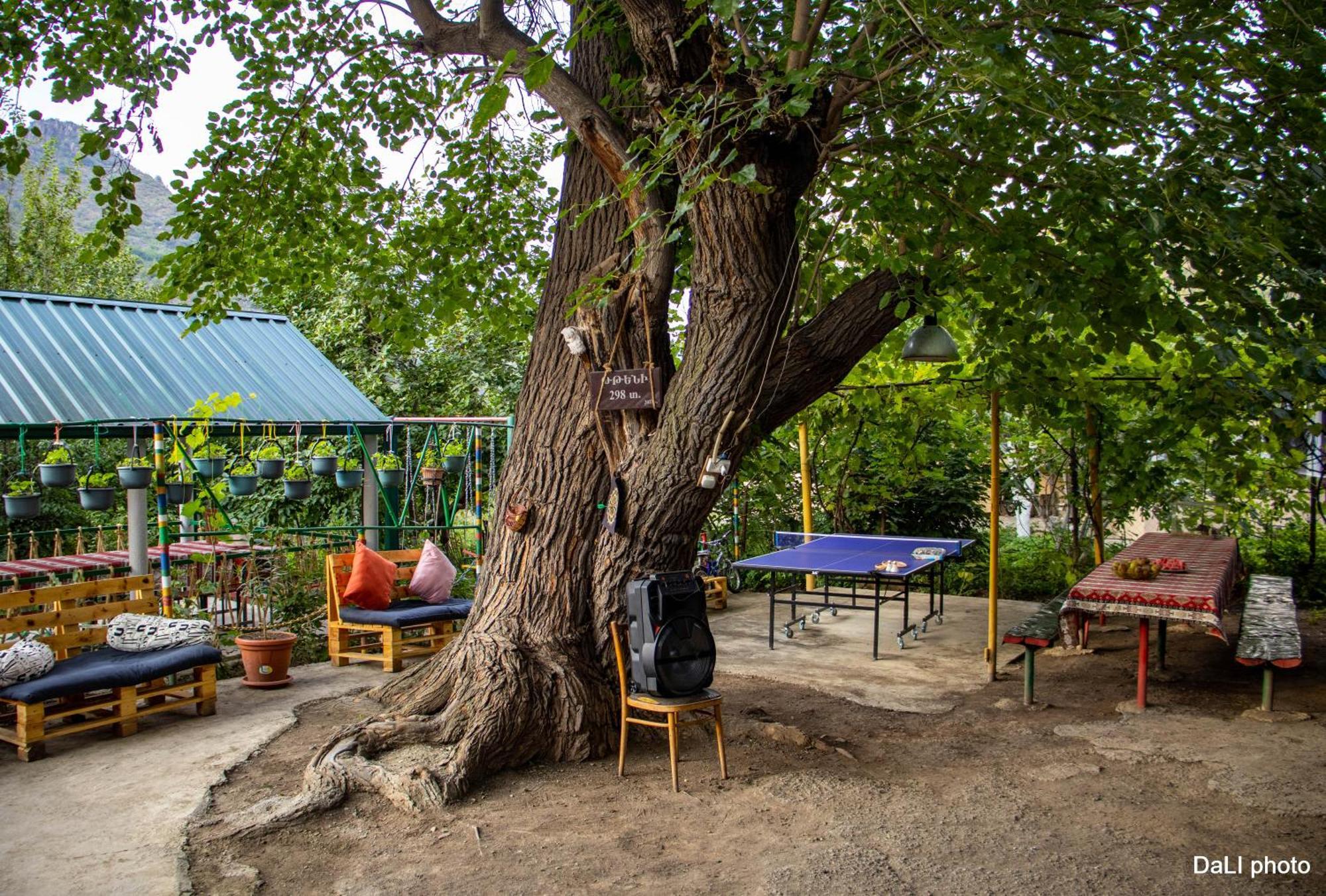 Tereza Glamping Hotel Sanain ภายนอก รูปภาพ
