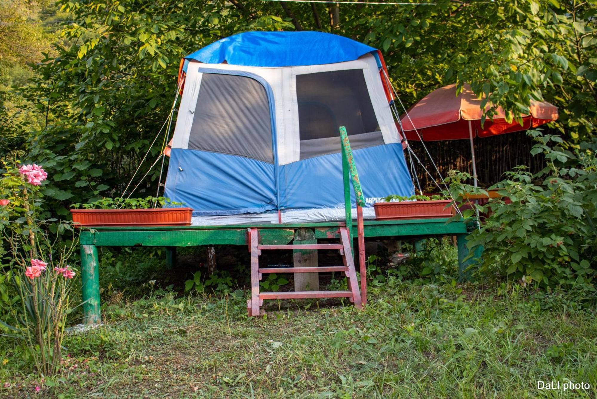 Tereza Glamping Hotel Sanain ภายนอก รูปภาพ